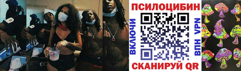 Галлюциногенные грибы Psilocybine cubensis  omg маркетплейс  Пионерский  закладка 